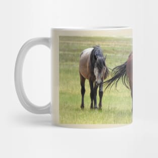 Wild horses, wildlife, gifts, California, True Beauty Mug